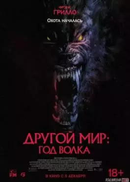 Bo'ri Yili 2024 HD Uzbek tilida Tarjima kino HD Skachat